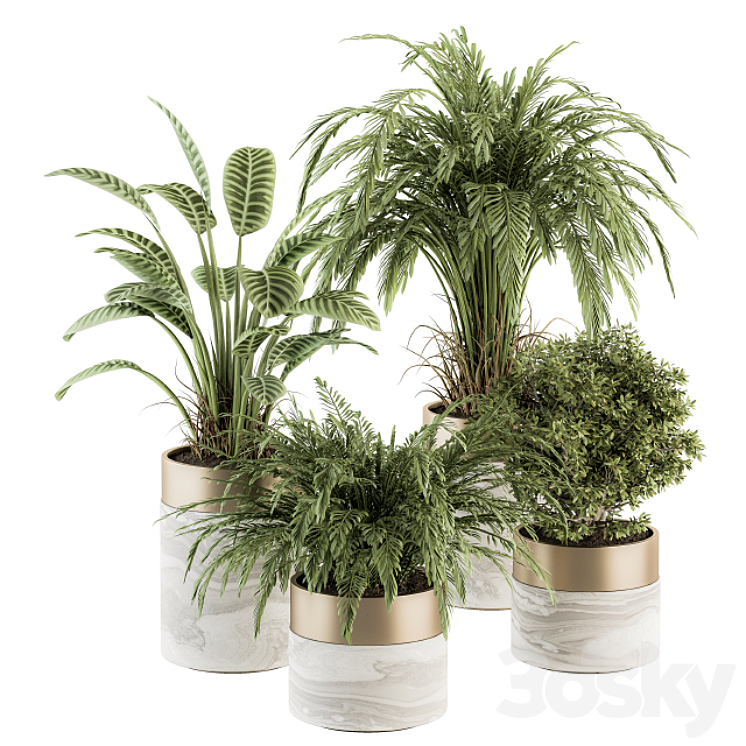 INDOOR PLANT SET 245 PLANT SET IN POT 