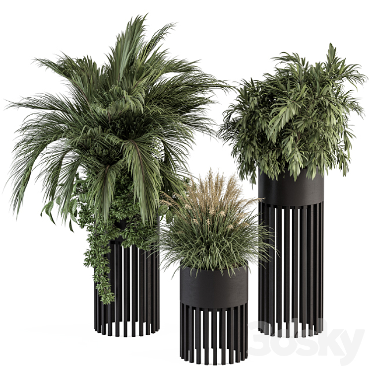 INDOOR PLANT SET 301 PLANT SET IN ROUND STAND BLACK POT 