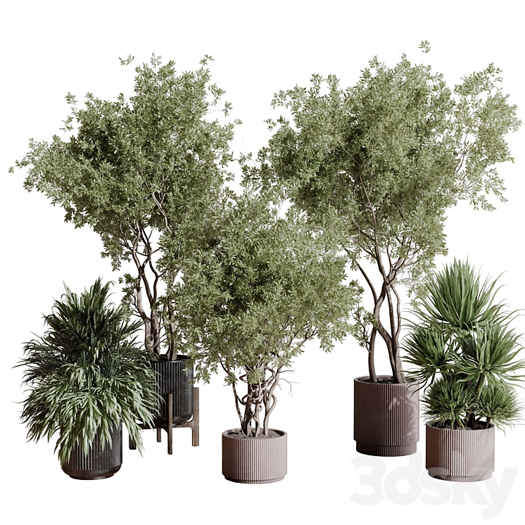 INDOOR_PLANT_SET_408_PLANT_TREE_PALM_BUSH_CONCRETE_DIRT_VASE_VRAY 