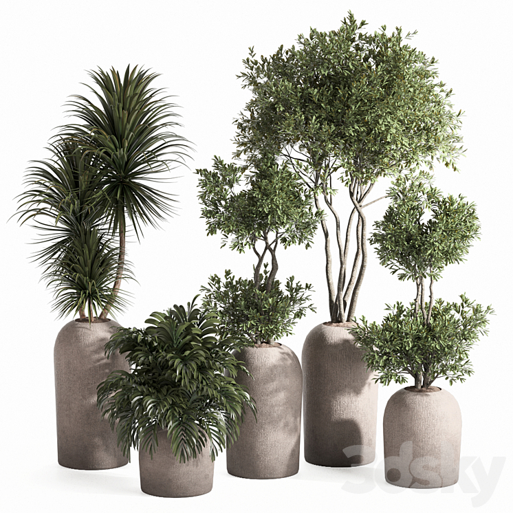INDOOR PLANT SET 