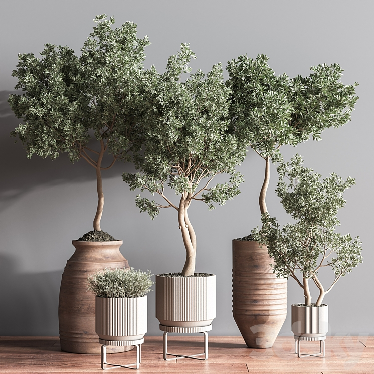 INDOOR PLANT SET11 