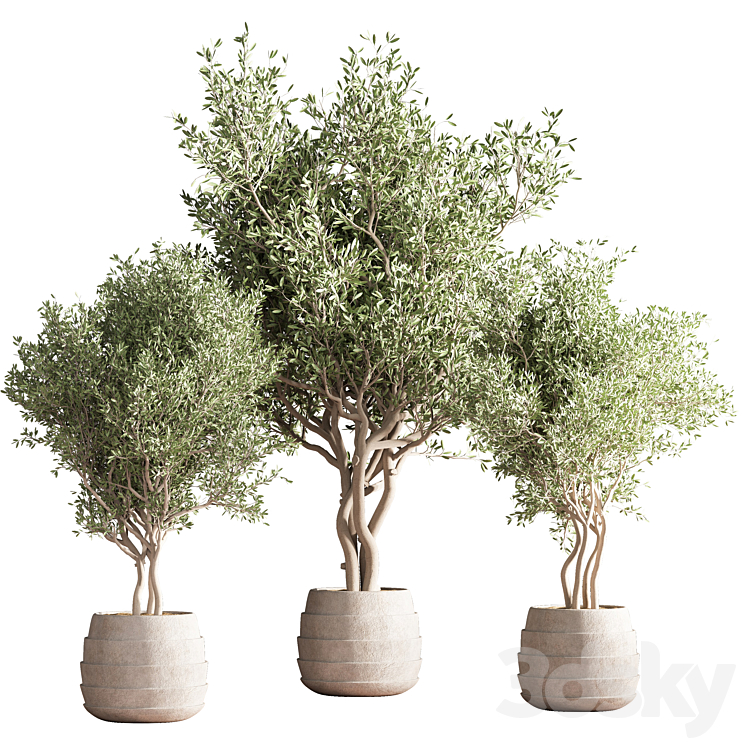 INDOOR PLANT STAND 39 