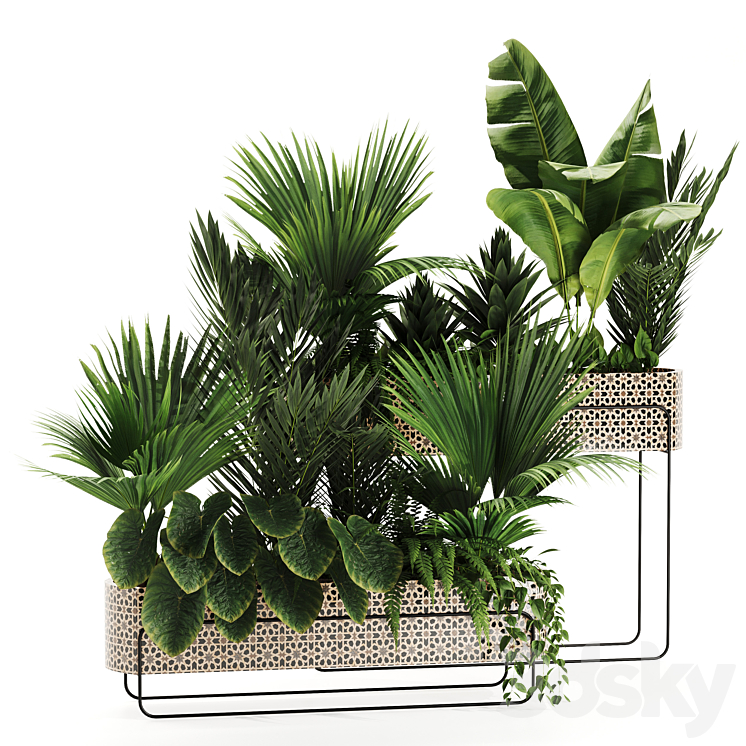 INDOOR PLANTS IN BOX SET 70 