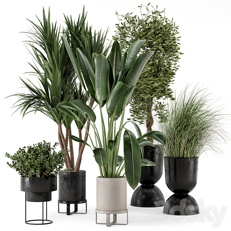 INDOOR PLANTS IN FERM LIVING BAU POT LARGE SET 312 
