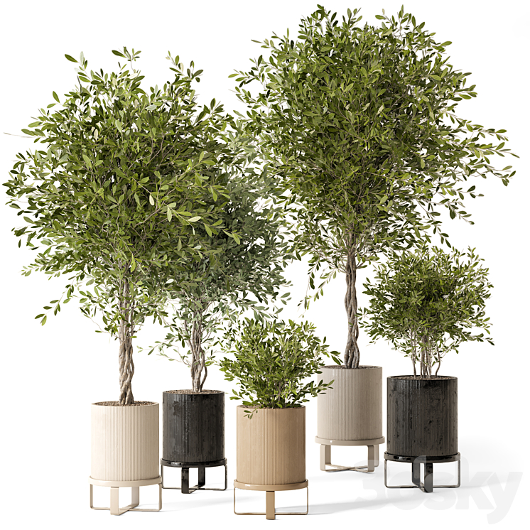 INDOOR PLANTS IN FERM LIVING BAU POT LARGE SET 354 