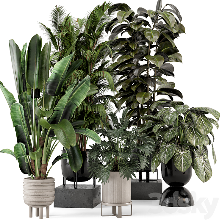 INDOOR PLANTS IN FERM LIVING BAU POT LARGE SET 740 