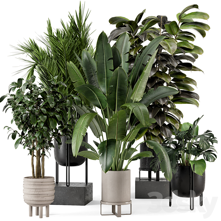 INDOOR PLANTS IN FERM LIVING BAU POT LARGE SET 879 
