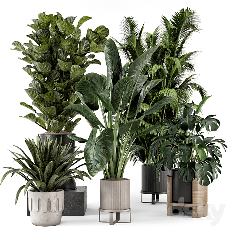 INDOOR PLANTS IN FERM LIVING BAU POT LARGE SET 1188 