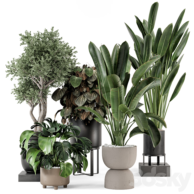 INDOOR PLANTS IN FERM LIVING BAU POT LARGE SET 1204 