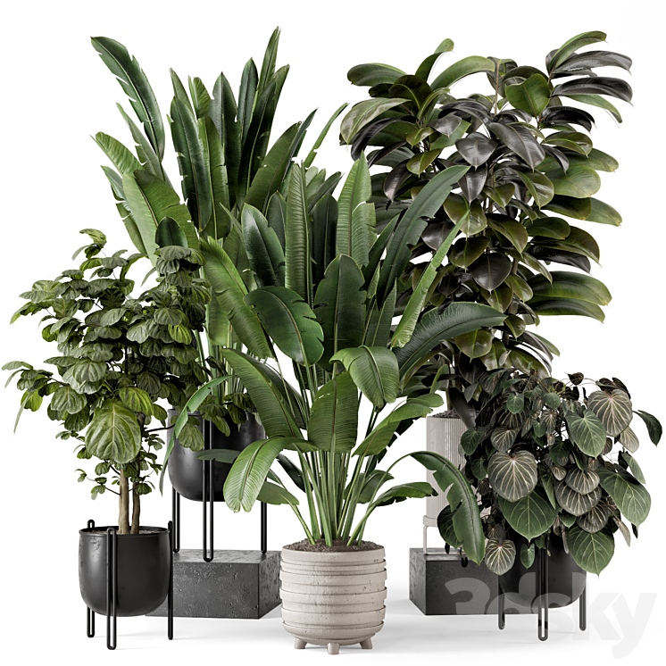 INDOOR PLANTS IN FERM LIVING BAU POT LARGE SET 1208 