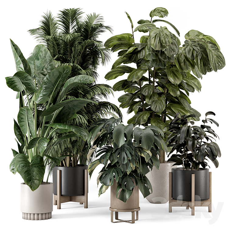 INDOOR PLANTS IN FERM LIVING BAU POT LARGE SET 1361 