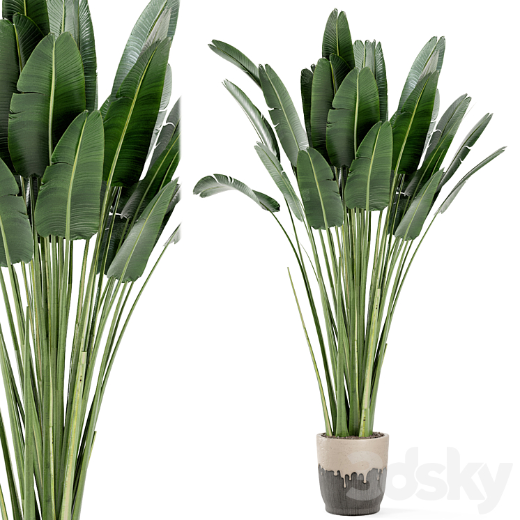 INDOOR PLANTS IN HANDMADE GLAZED POT SET 190 