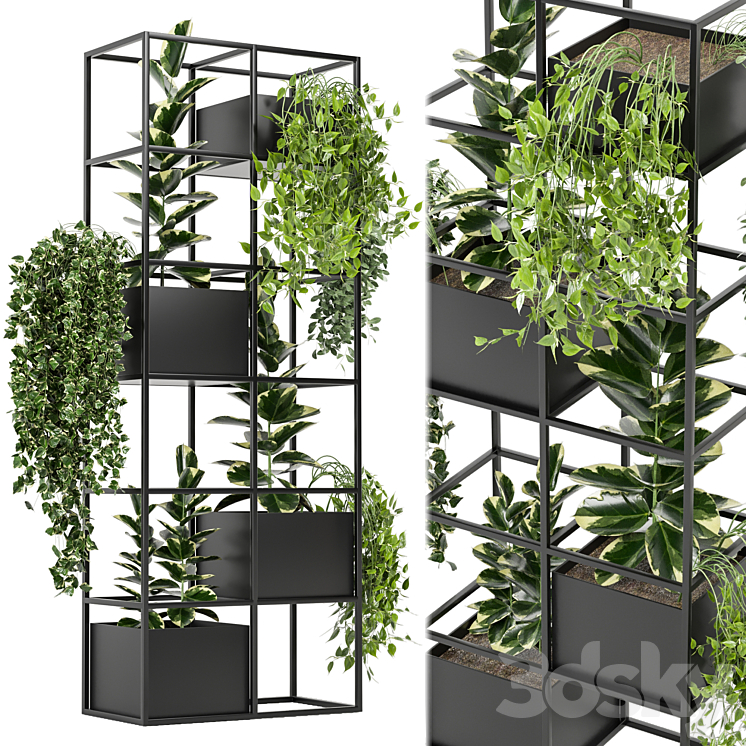 INDOOR PLANTS IN RUSTY CONCRETE POT ON METAL SHELF SET 110 