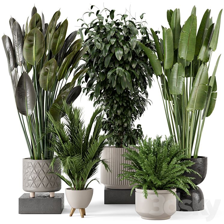 INDOOR PLANTS IN RUSTY CONCRETE POT SET 542 