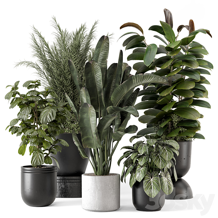 INDOOR PLANTS IN RUSTY CONCRETE POT SET 1265 