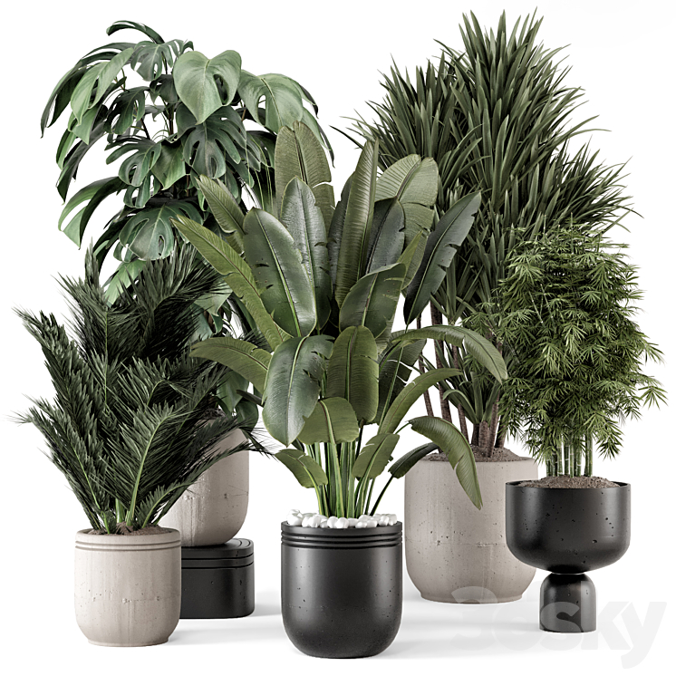 INDOOR PLANTS IN RUSTY CONCRETE POT SET 1331 