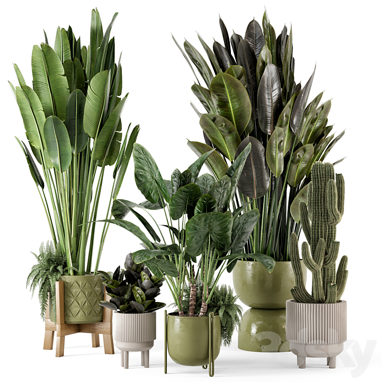 INDOOR_PLANTS_IN_STANDING_LEGS_SMALL_BOWL_CONCRETE_POT_SET_563 