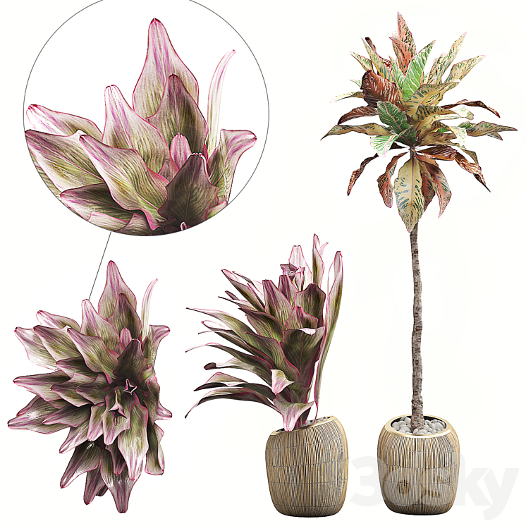 INTERIOR FLOWER PACK 34 