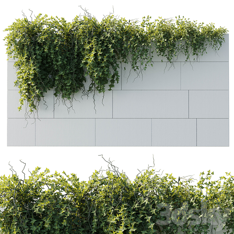 IVY HANGING FROM THE WALL OUTDOOR PLANTS SET 173 