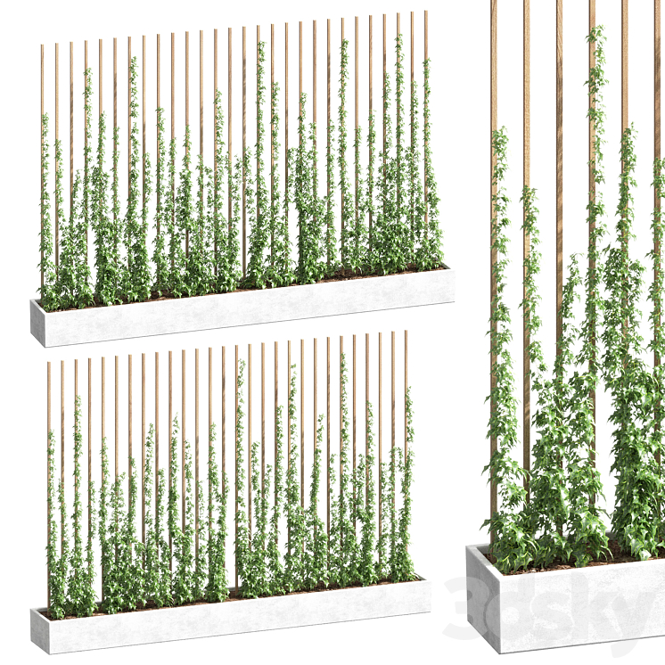 IVY PARTITION 