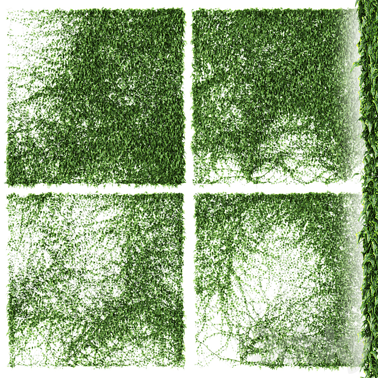 IVY WALL 4 MODELS V3 