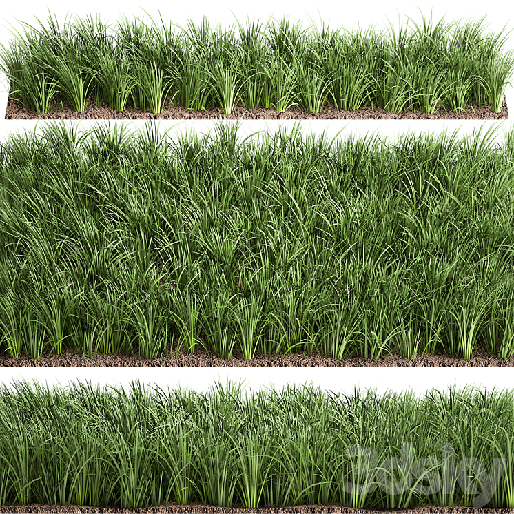 LAWN 941 GRASS BUSHES LANDSCAPING 