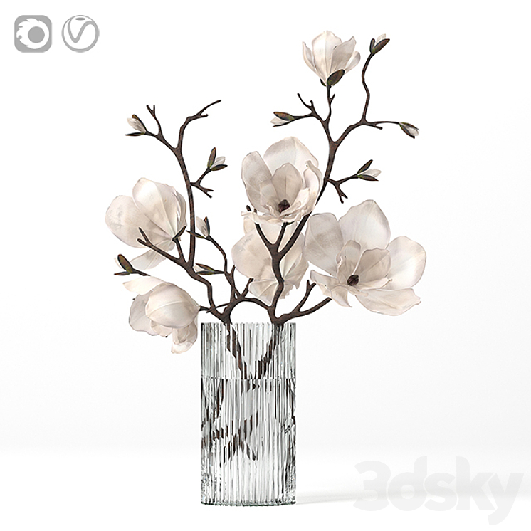 MAGNOLIA 
