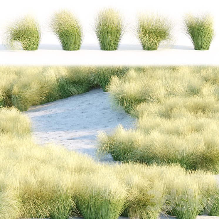 MARAM GRASS COLLECTION VOL 155 