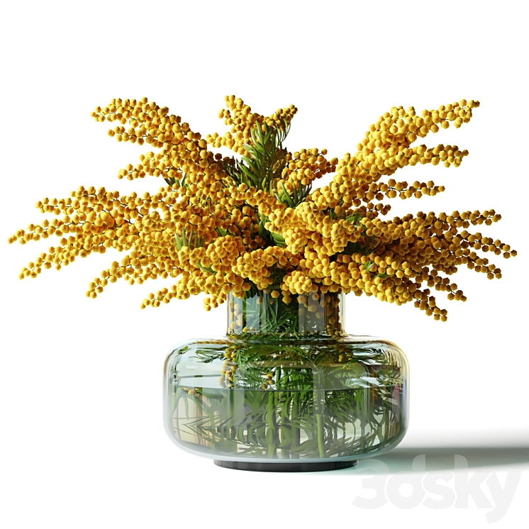 MIMOSA IN A LOW GLASS VASE 