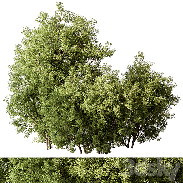 MIXED PLANT BUSH SET 105 