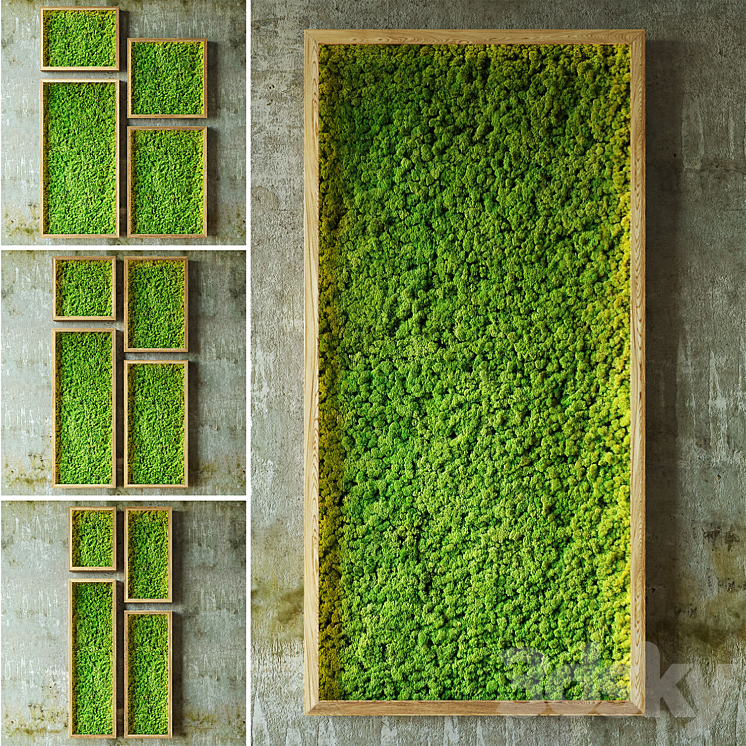 MOSS WALLS 