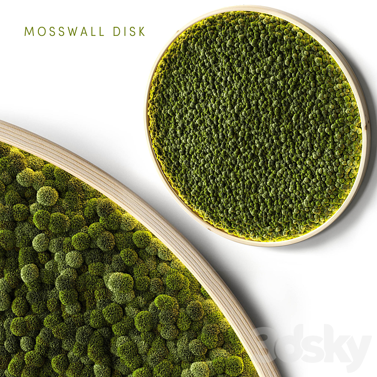 MOSSWALL DISK 2 