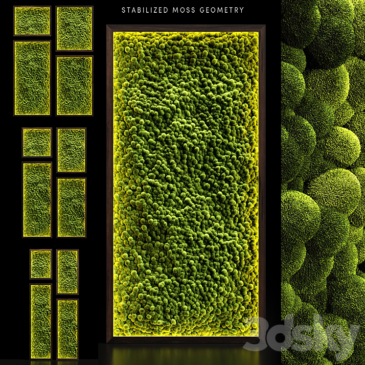 MOSSWALLS 2 
