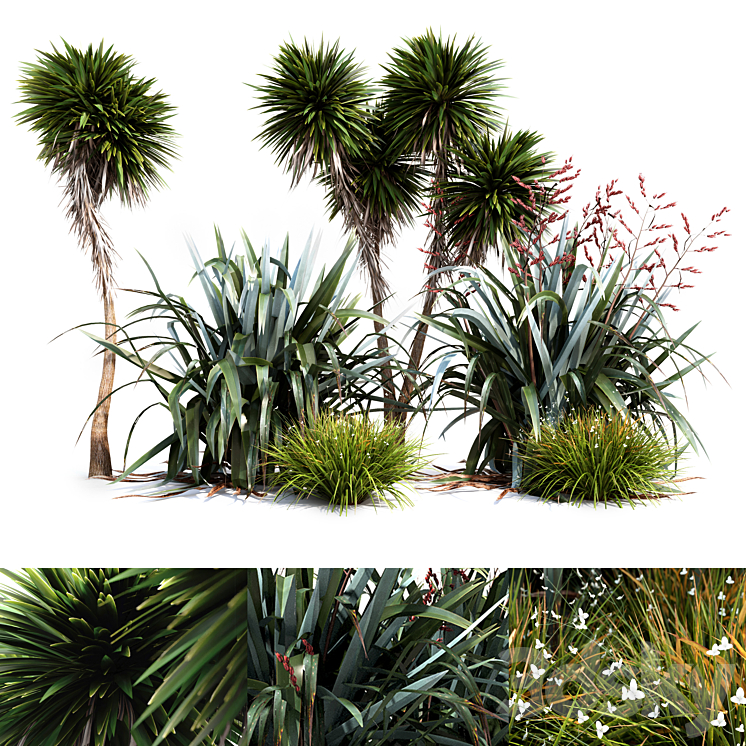 OCEANIA PLANT SET 