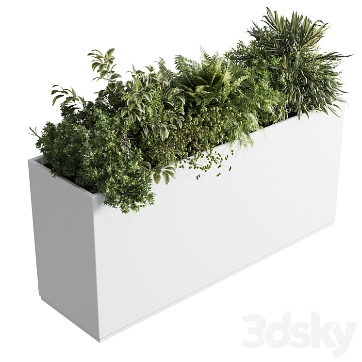 OFFICE_PLANT_PLASTIC_BOX_PLANTS_ON_STAND_SET_INDOOR_PLANT_389 