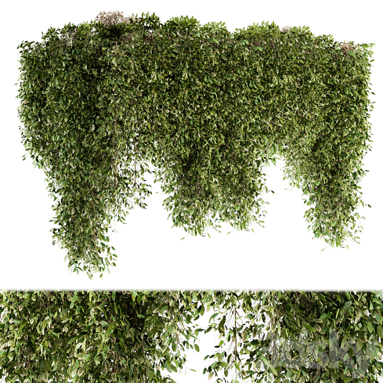 OUTDOOR PLANT SET 96 HANGING PLANTS 