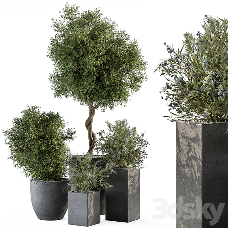 OUTDOOR PLANT SET 273 PLANT SET IN CONCRETE POT 