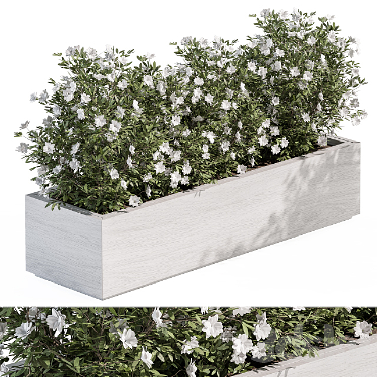 OUTDOOR PLANT SET 304 PLANT BOX 