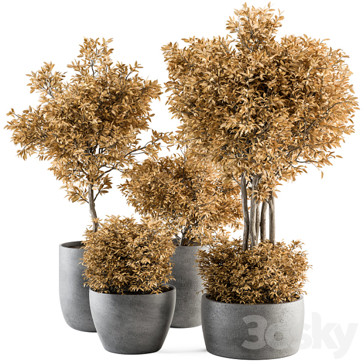OUTDOOR PLANT SET 322 AUTUMN PLANT AND TREE SET 