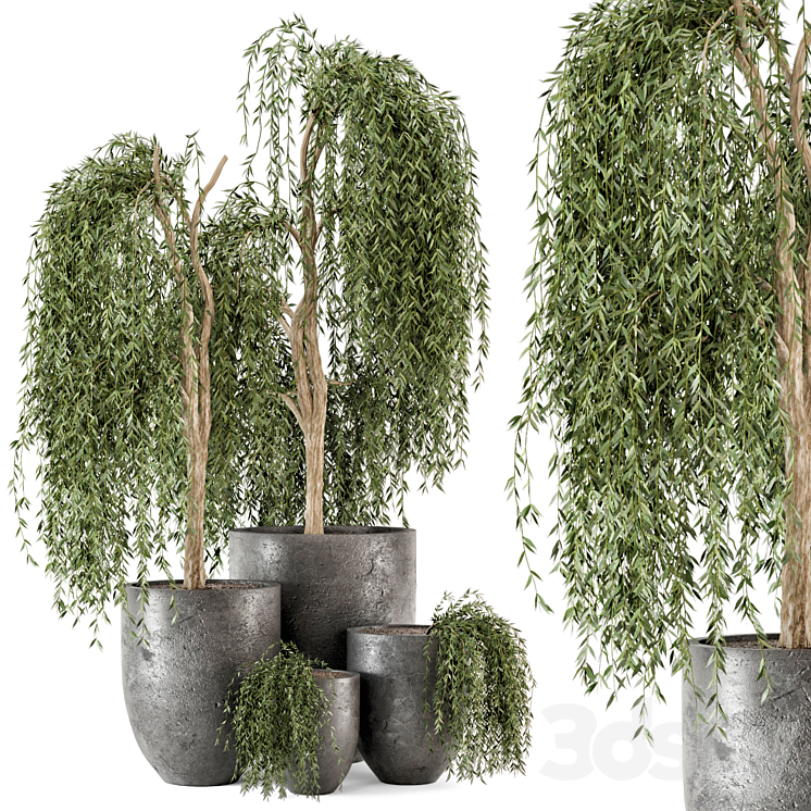OUTDOOR_PLANTS_BUSH_AND_TREE_IN_RUSTY_DARK_CONCRETE_POT_SET_52 