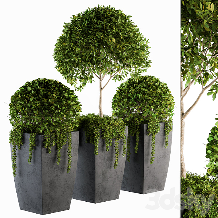 OUTDOOR PLANTS ROUND TOPIARY TREE SET 75 