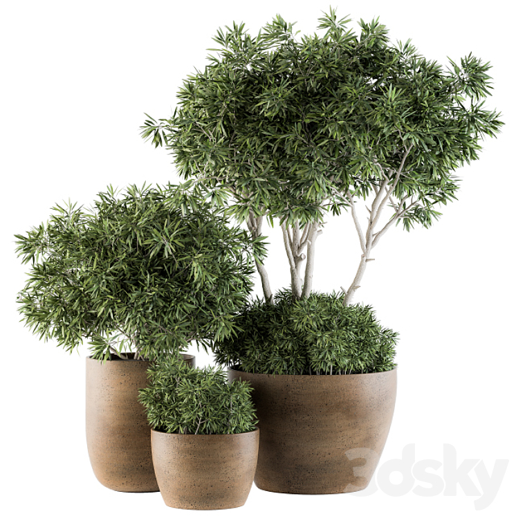 OUTDOOR PLANTS TREE IN CONCRETE POT SET 111 