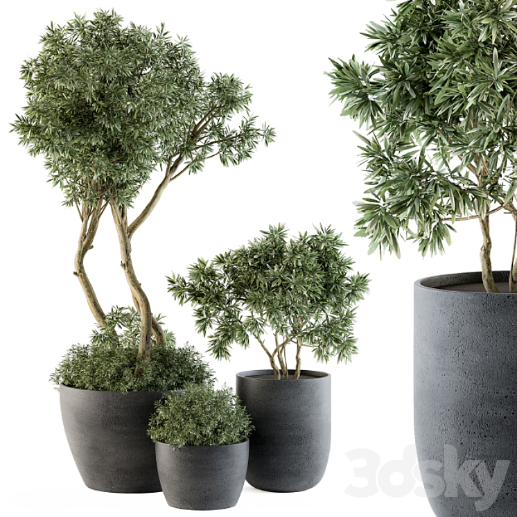 OUTDOOR PLANTS TREE IN POT SET 90 