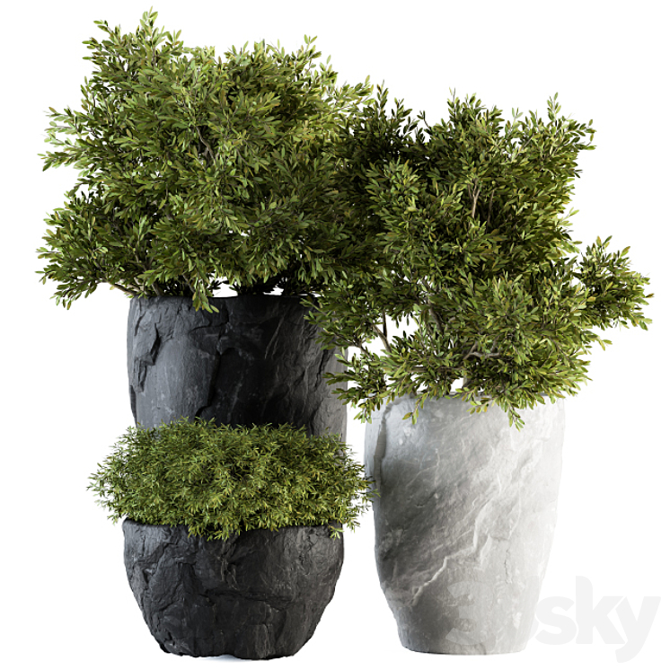 OUTDOOR PLANTS TREE IN ROCK POT SET 136 