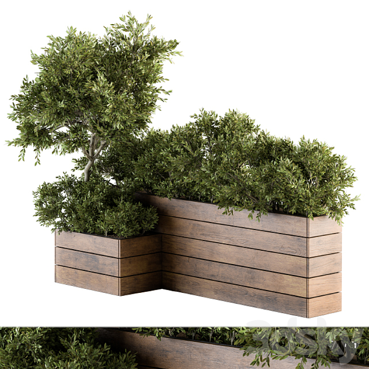 OUTDOOR PLANTS TREE IN WOOD BOX SET 154 