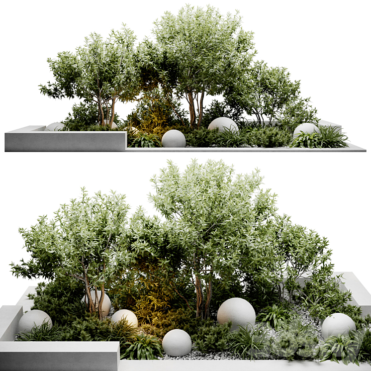 OUTDOOR PLANTS 
