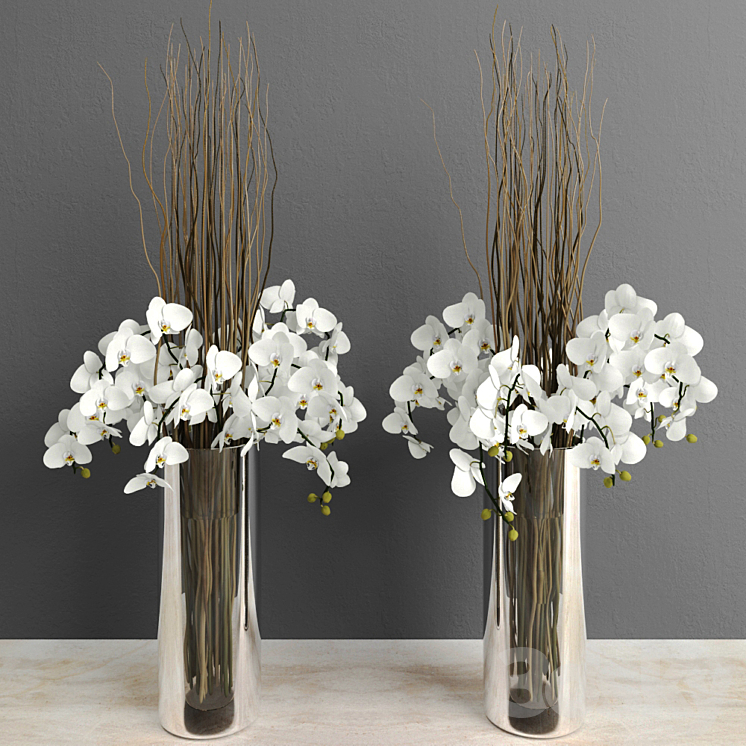 ORCHIDS WITH WILLOW BRANCHES 