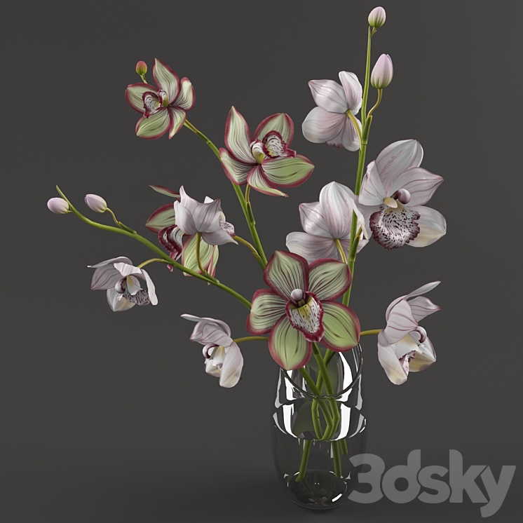 ORCHIDS 
