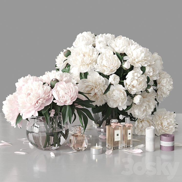 PEONIES 2 