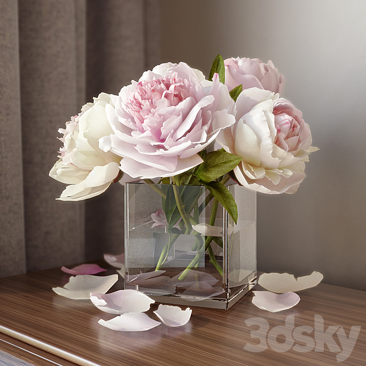 PEONIES 